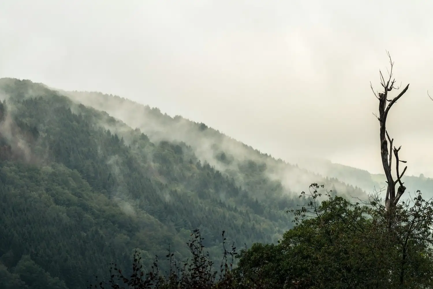 Paysage, nature et village d'Ardèche — vue 2 — week-end en amoureux en Ardèche depuis Aubenas