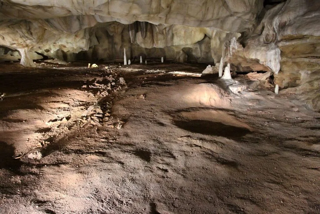 Fresques et art pariétal de la Grotte Chauvet 2, réplique UNESCO en Ardèche — vue 4 — visite de la Grotte Chauvet 2 depuis Aubenas