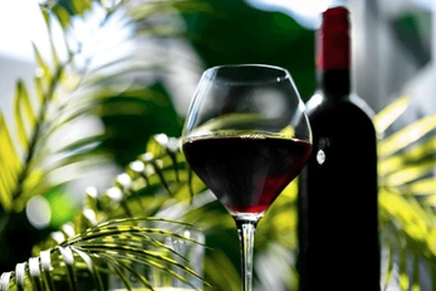 Gastronomie & vins